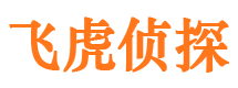 安龙侦探公司